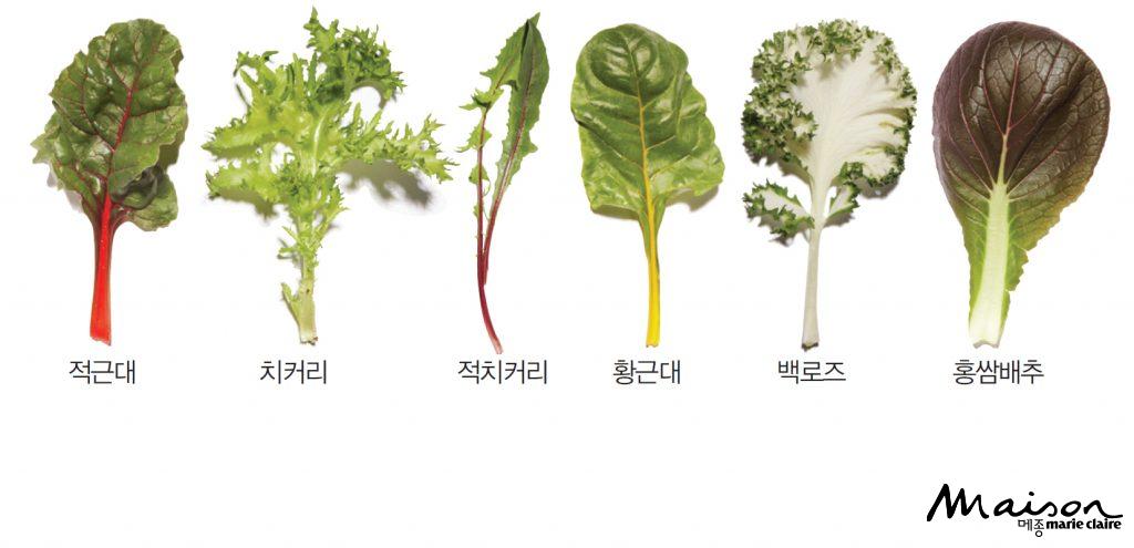 건강한 쌈채소 기르기