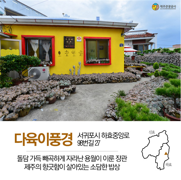제주에서 가장 따뜻한 마을…감귤과 돌담이 어우러진 제주 효돈마을