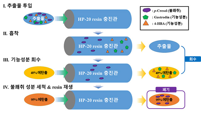 냄새는 없애고, 약용 성분은 그대로! 약용작물 ‘천마’ 가공 기술 개발