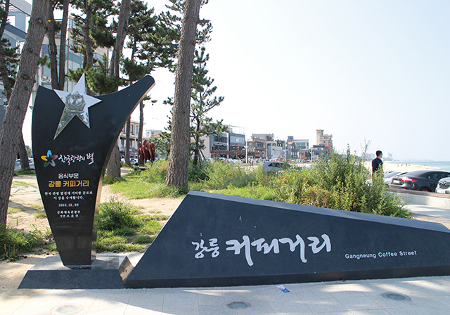 강릉 커피거리, 임실 치즈테마파크 등 2020년 예비 열린 관광지 23개