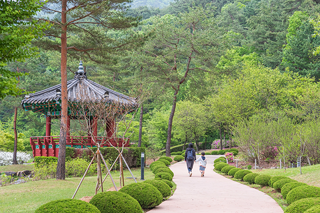 6월에 가볼 만한 곳…옛 학교의 감성을 느낄 수 있는 전국 여행지 6곳
