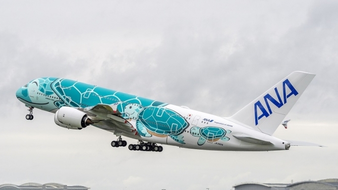 ANA(전일본공수) 거북이 도장으로 장식한 신규  A380 나리타 - 호눌룰루 투입