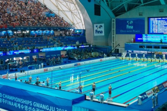 광주세계수영대회, 경영·하이다이빙 시작…본격 금빛 물살 가른다
