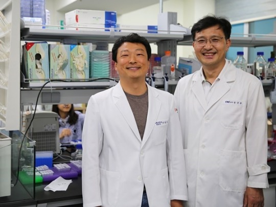 흑삼의 변신, 한방 화장품 탈모샴푸 기능성식품 등 다양한 활용 눈길