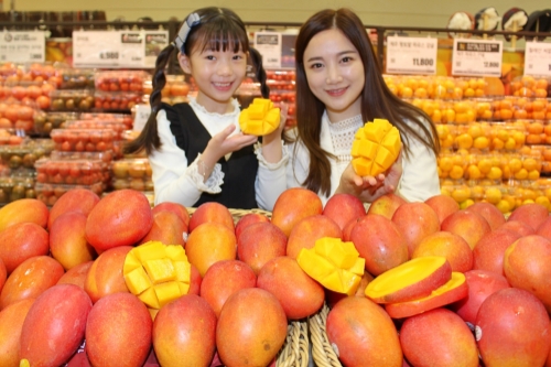 롯데마트, ‘대만산 애플망고’ 행사 진행