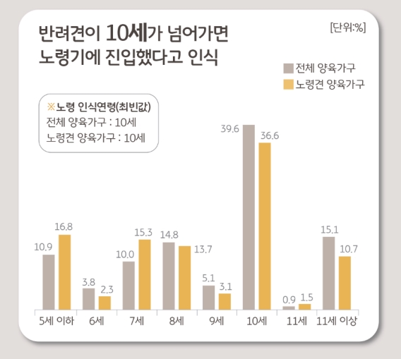 분당 차병원, 신경전구세포 분화 이용 동물 치매 치료제 개발 나서