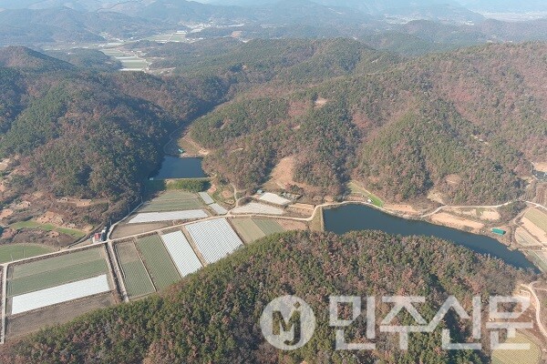 경남 창녕군, 소나무재선충병 집단피해지 수종전환사업 추진