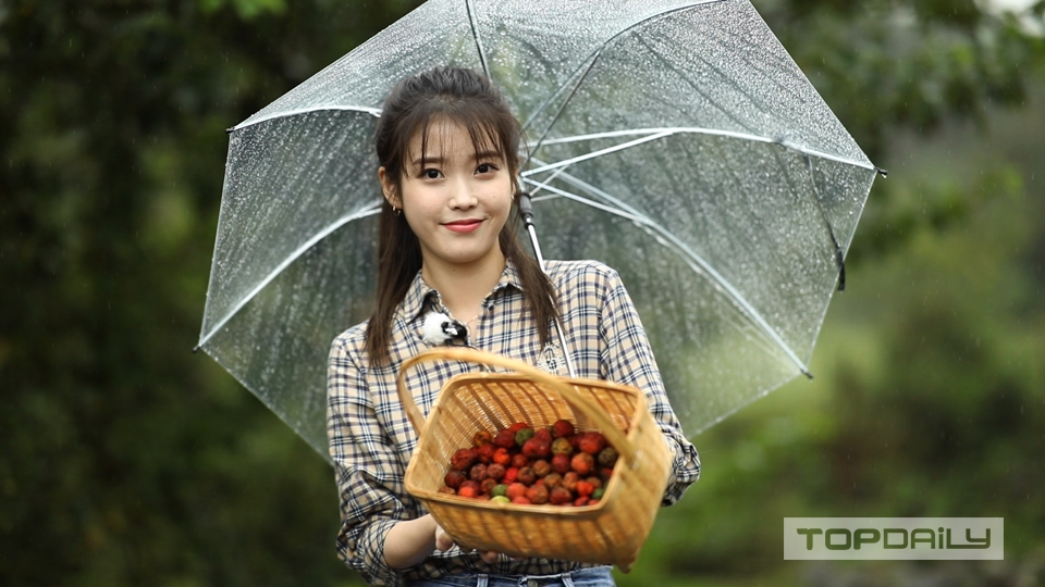 아이유 힐링다큐 나무야 나무야 나무를 통해 위로받는 시간