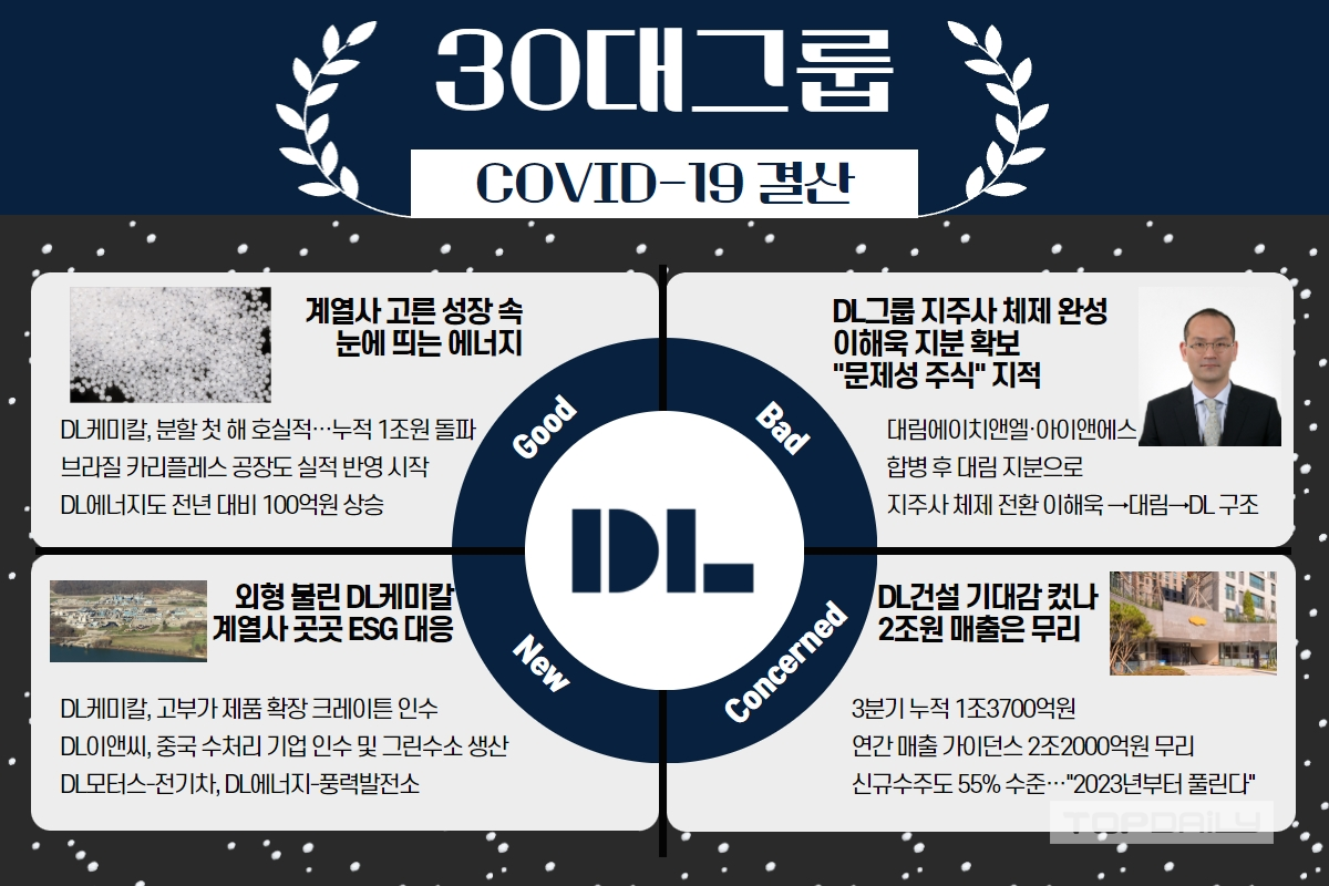 [30대그룹 코로나 결산] 새롭게 탄생한 DL그룹, 이해욱 지배력 확보 과정은 구태