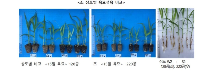 “조·기장도 기계로 심으세요”
