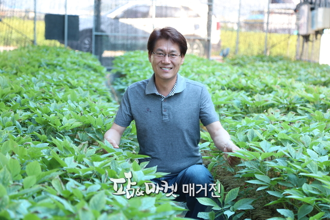 고려인삼유기농협동조합  이영호 이사장