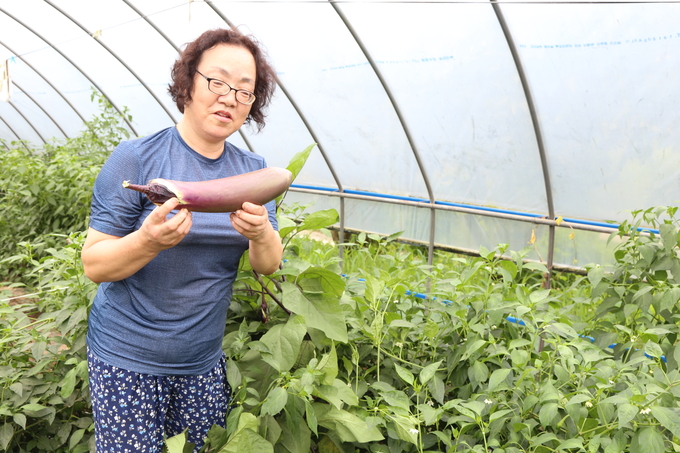 김제 채미정 농부의 토종 농사