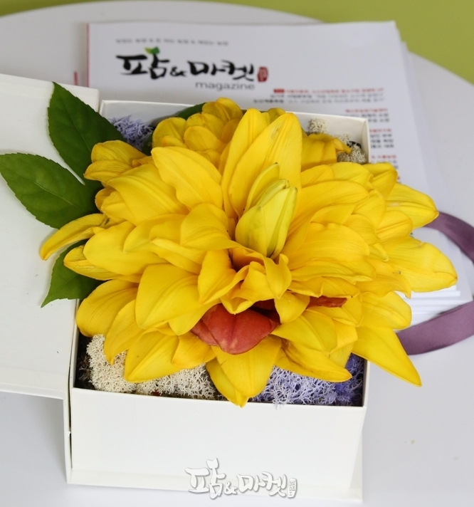 농촌진흥청 육성 꽃 이야기<3> 여름 꽃 나리