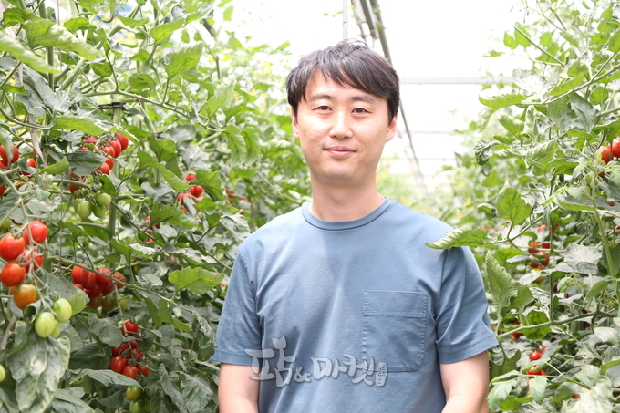 영월의 유기농 토마토 2세대 원승현 대표