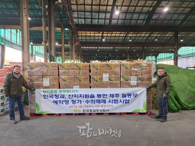 한국청과, 제주 월동무 예약형 정가·수의 추진