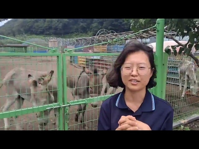 보은군 최희란 대표, 농촌교육농장·마음치유농장 품질인증