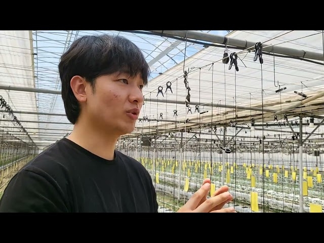 두 번 실수 않게 한다, 스마트팜