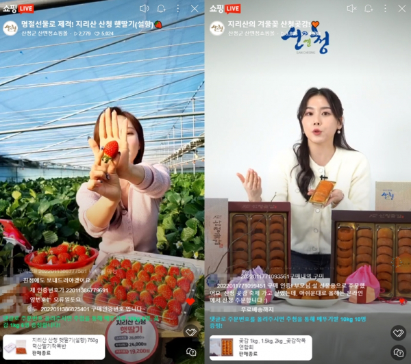 한큐컴퍼니·산청군, 산엔청 설맞이 라이브커머스 기획전 성료
