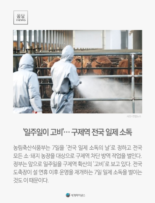 [몽당뉴스] 일주일이 고비… 구제역 전국 일제 소독