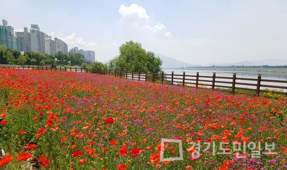 남양주 삼패한강시민공원으로 오세요
