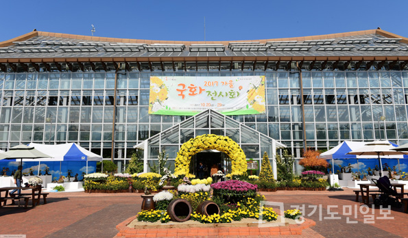 화성 우리꽃식물원 국화전시회
