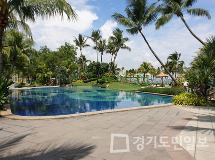 청춘유학, 필리핀 클락 세부 가족연수 공무원 성인연수 프로모션