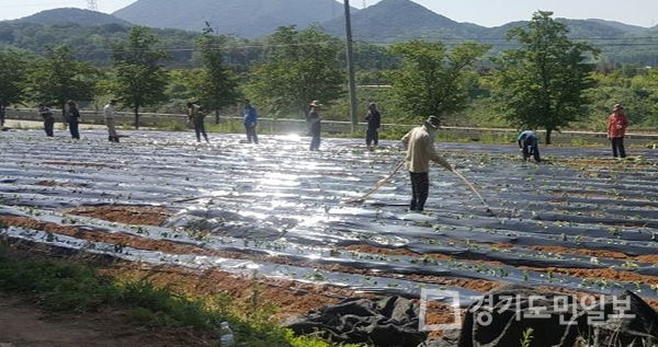인천 서구,  도시농업농장 운영단체 공모