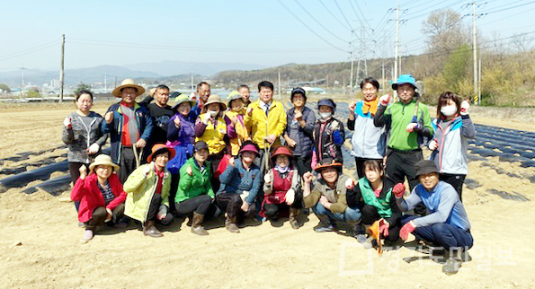 양평군 개군면 지역사회보장협의체 구슬땀