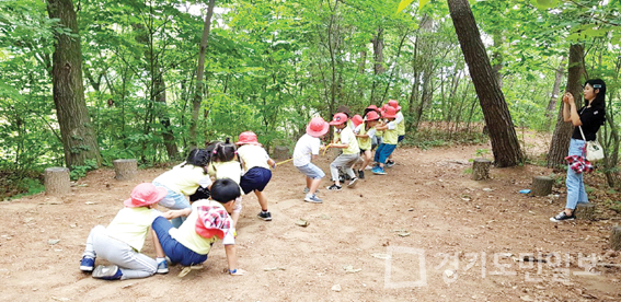 용인시, 유아숲체험 하반기 프로그램