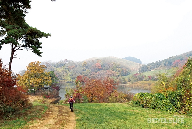 이윤기의탐사투어-서산 한우목장과 일락산 임도