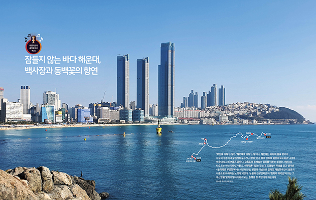 대중가요의  골목길(12)-잠들지 않는 바다 해운대,  백사장과 동백꽃의 향연