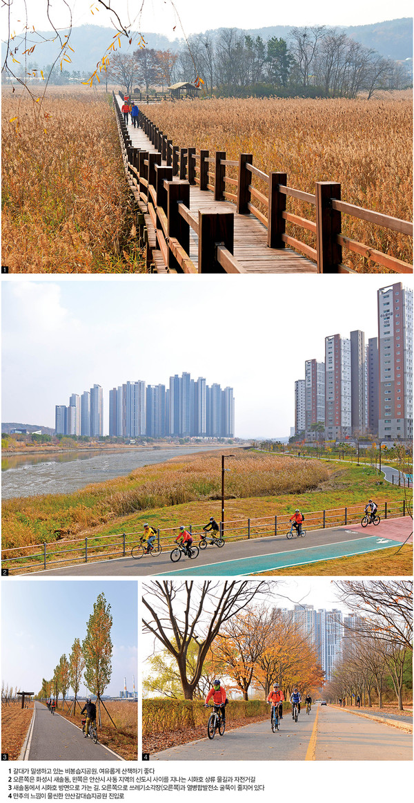 화성 비봉습지공원~새솔동 신도시
