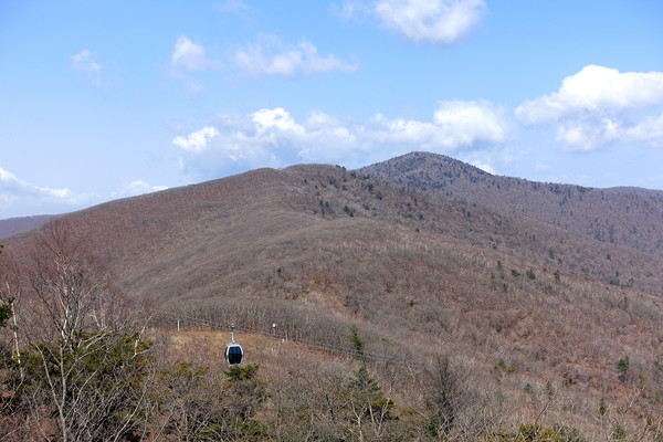 정선 가리왕산 케이블카