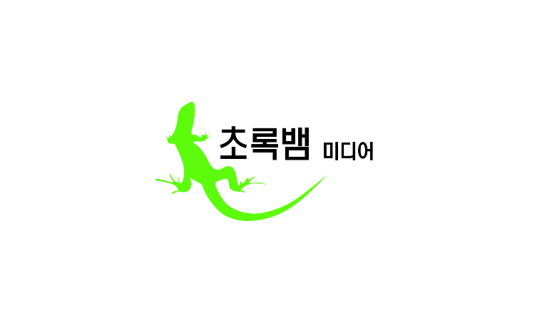 초록뱀미디어 자회사 스카이이앤엠, 엘디스토리와 합병