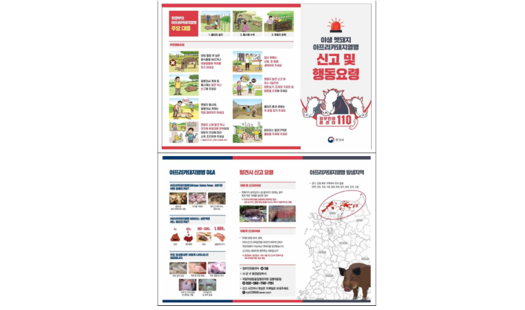 원주환경청,  ASF 확산 방지 ... 양돈농가 확산세 차단에 주력