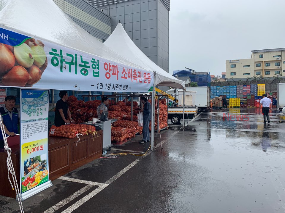하귀농협 하나로마트,  양파 소비촉진 운동 추진
