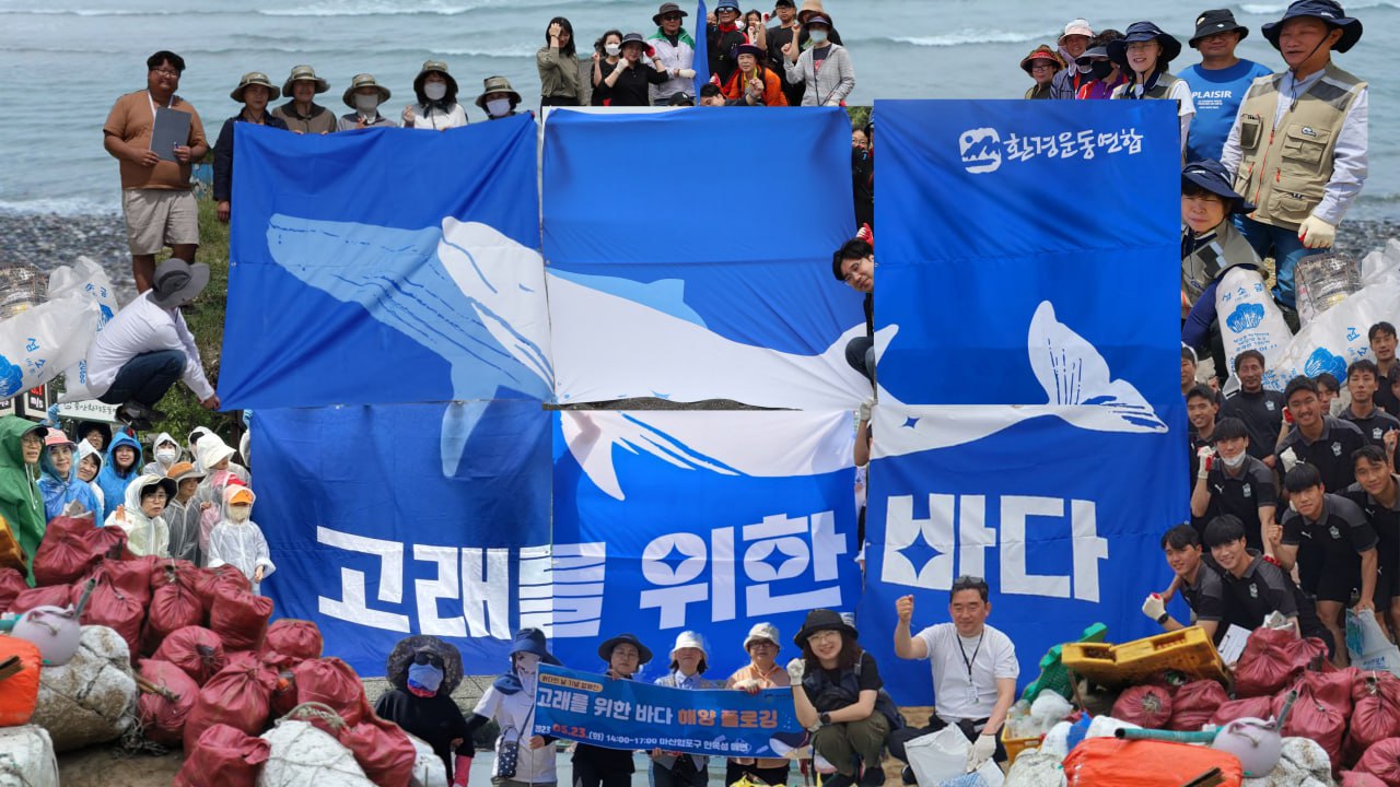 바다의 날 맞아 플로깅... 해양 포유류 지켜야