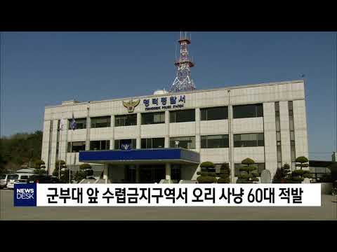 군부대 앞 수렵금지구역서 오리 사냥 60대 적발      