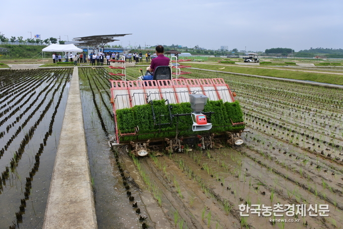 ‘벼’ 최소경운 이앙 신기술… ‘온실가스↓‧생산효율↑’