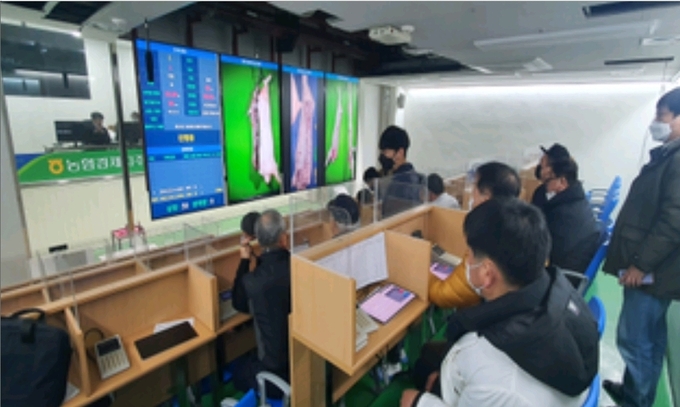 축산물 경매도 온라인으로... 비대면 유통 혁신 이끈다