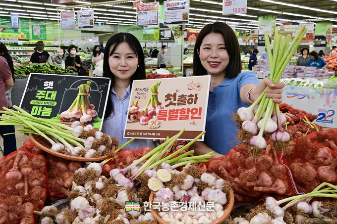 농협유통 햇마늘 출하!