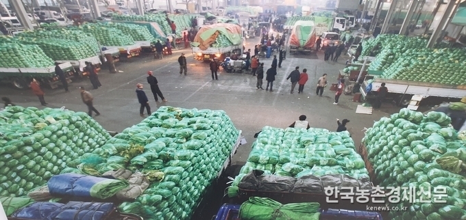 한국청과 품질관리 잘해야 온라인도매시장 정착된다 긴급 설문결과 발표
