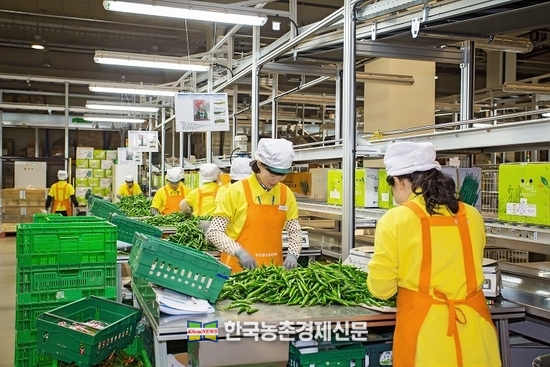 농협, 농산물 도매실적 1조 5,400억원 돌파…“역대 최대치 전망”