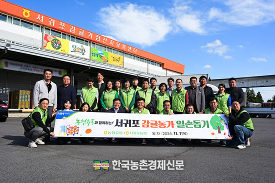 농협유통, 제주 서귀포에서 감귤 수확 일손돕기!