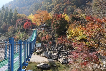 장령산자연휴양림 야영장 [merged→428]