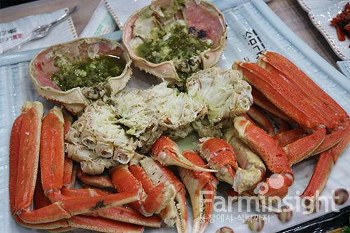 강릉 경포대 맛집 대영유통, 주문진 횟집과 대게전문점 중 여행객들이 몰리는 곳