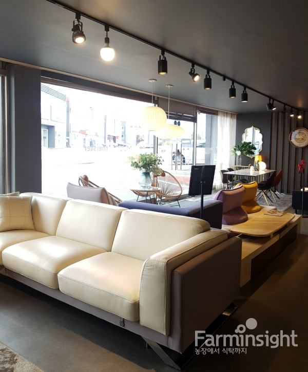 파주 운정 일산가구단지 마이스터소파 키즈 어린이가구 꿈꾸는 요셉 입점 기념 할인