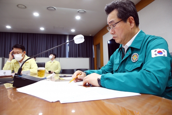 춘천 양돈장 아프리카돼지열병 발병