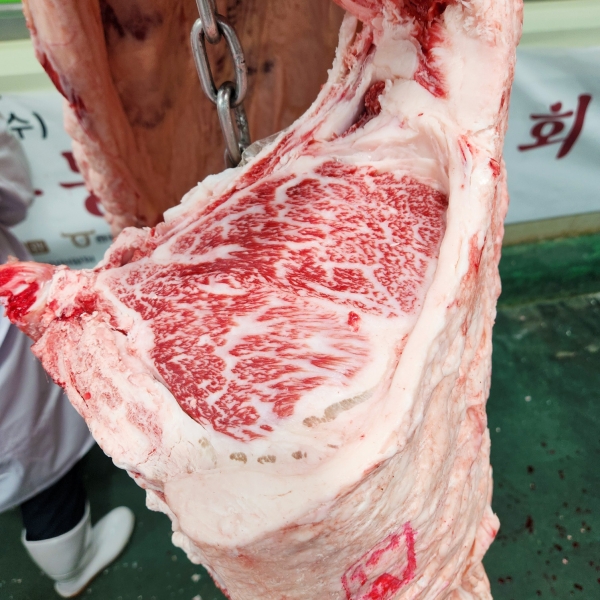[인터뷰]한우경진대회 이어 한우능력평가대회 재패한 홍창영 농가