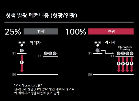 LG디스플레이, ‘꿈의 OLED’ 실현할 마지막 퍼즐 완성했다